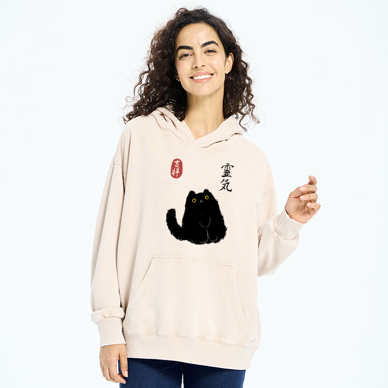 Black Civet Cat Washed Hoodie