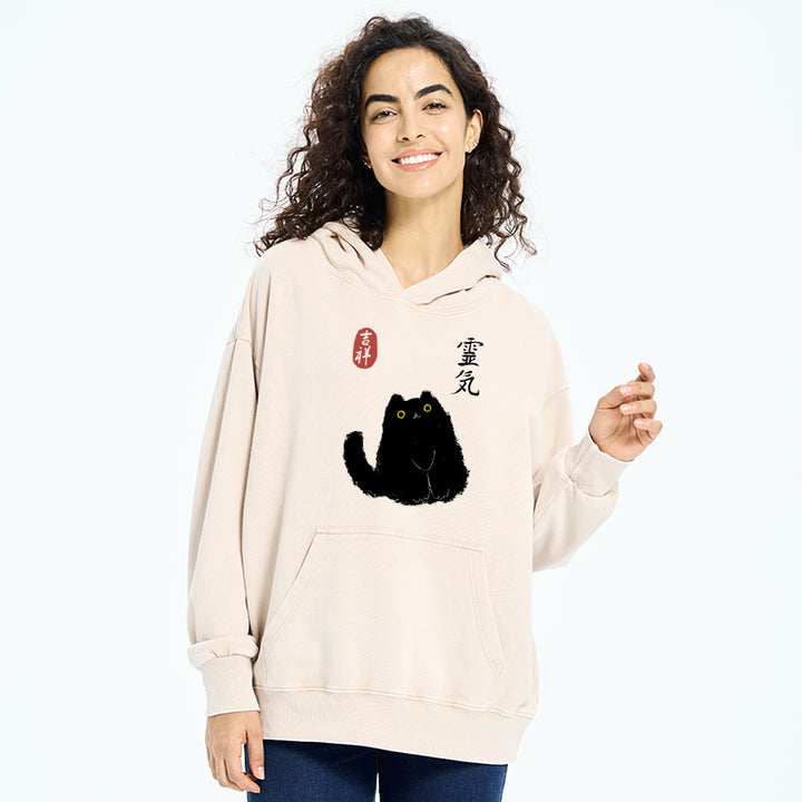 Black Civet Cat Washed Hoodie