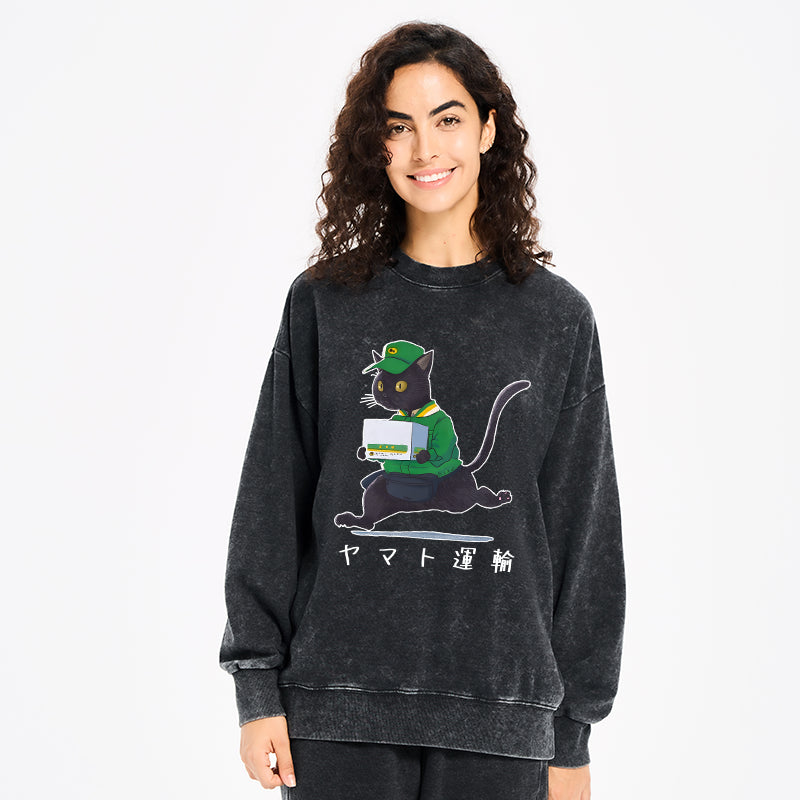 Black Cat Appreciation Day Washed Sweatshirt