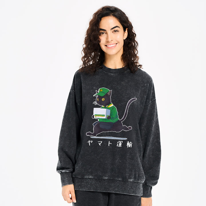 Black Cat Appreciation Day Washed Sweatshirt