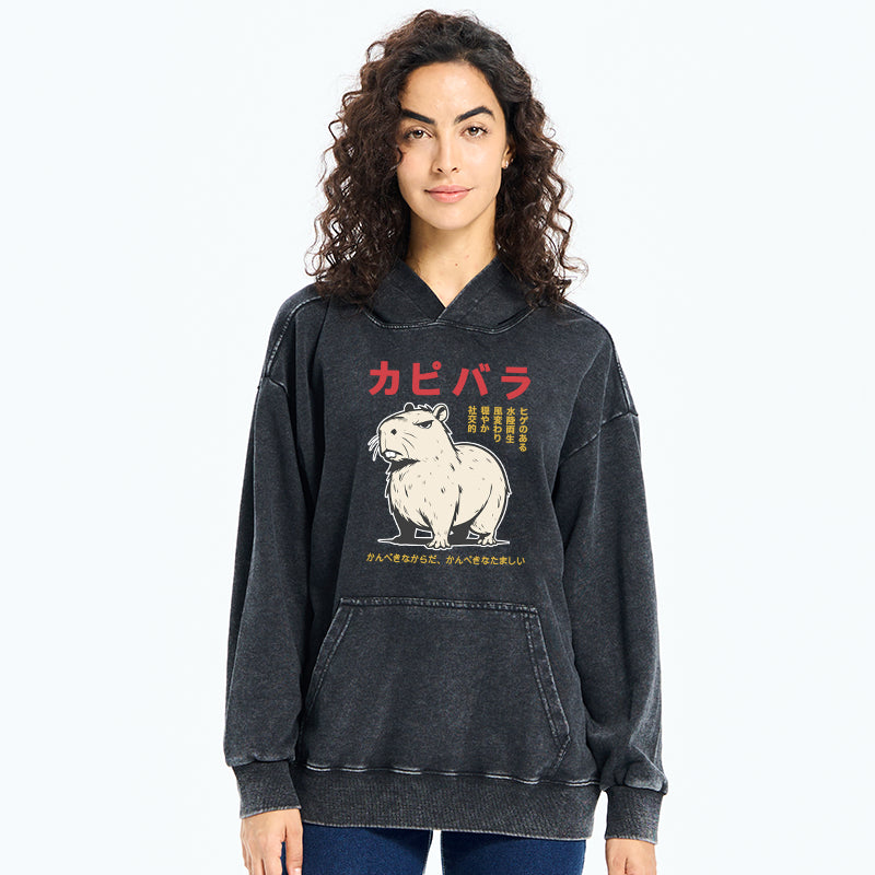 Angry Capybara Japan Washed Hoodie
