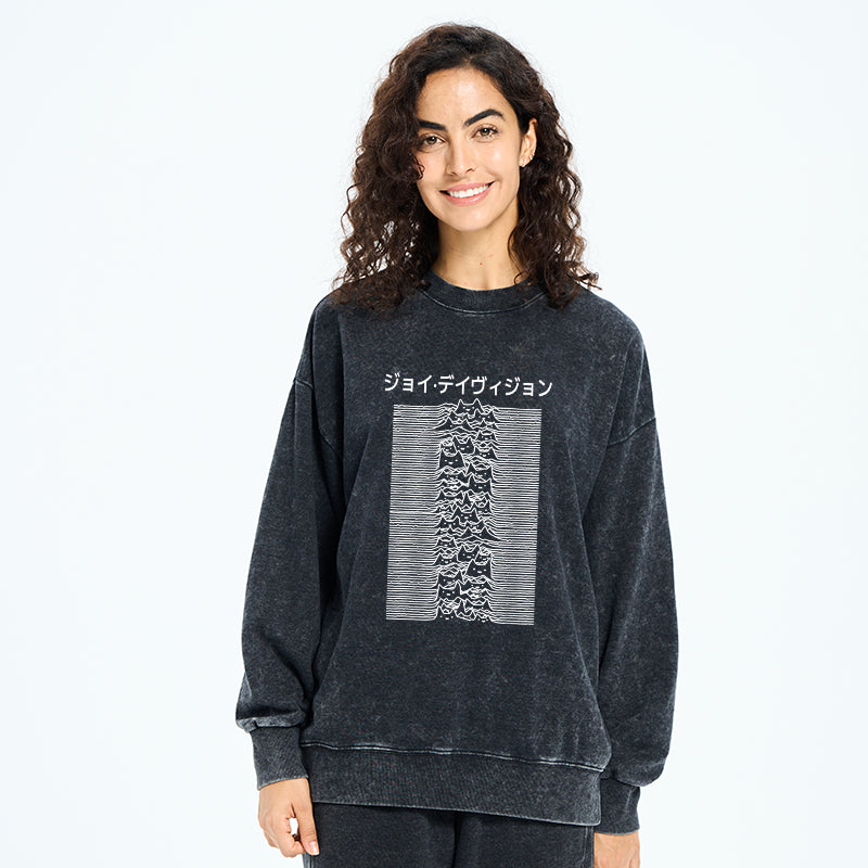 Funny Cat Davision Washed Sweatshirt