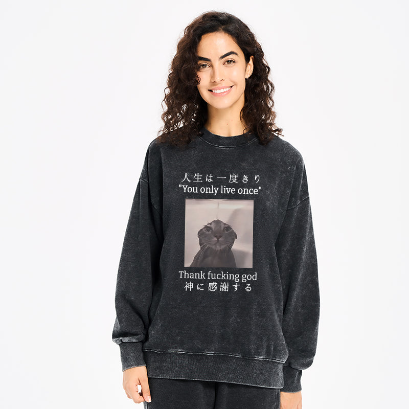 Funny Melancholy Cat Washed Sweatshirt