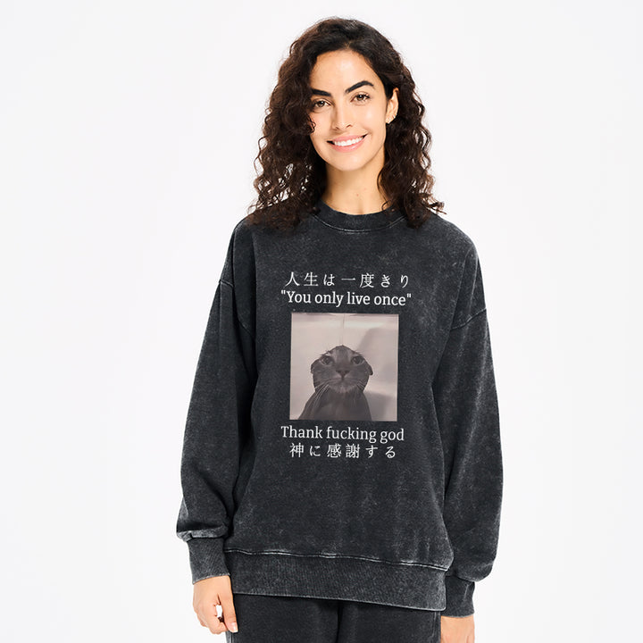 Funny Melancholy Cat Washed Sweatshirt