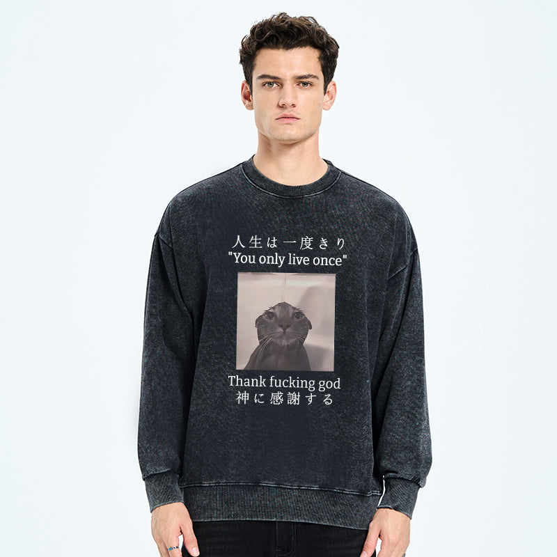 Funny Melancholy Cat Washed Sweatshirt