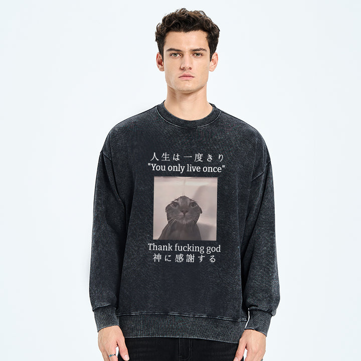 Funny Melancholy Cat Washed Sweatshirt