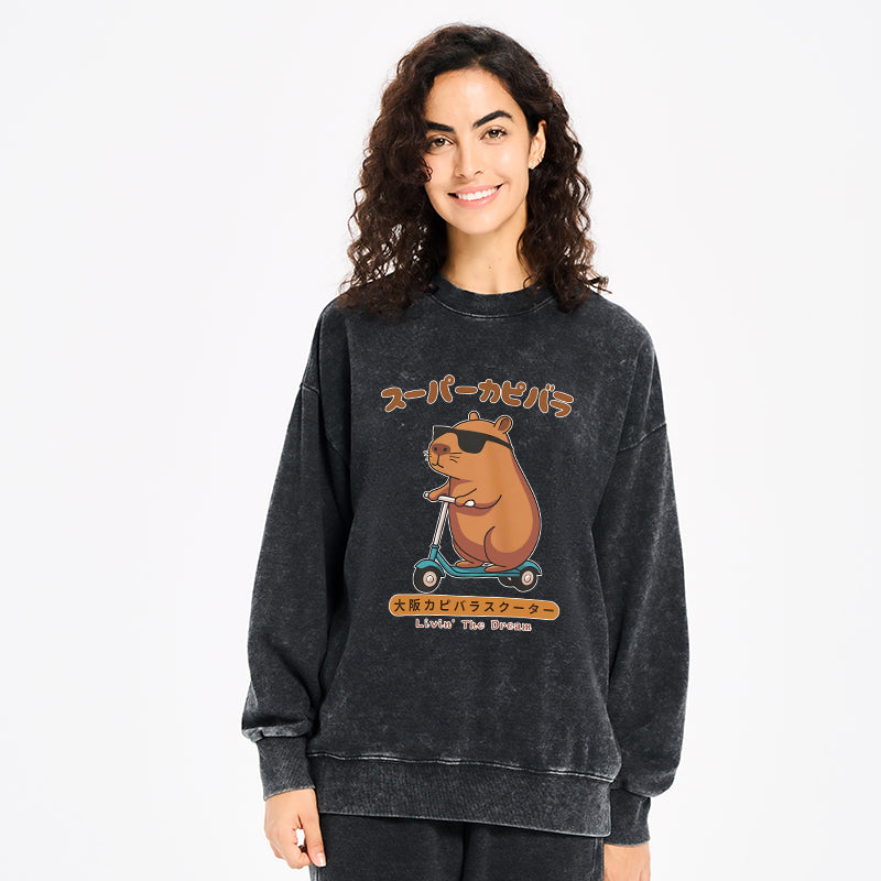 Osaka Capybara Scooter Washed Sweatshirt