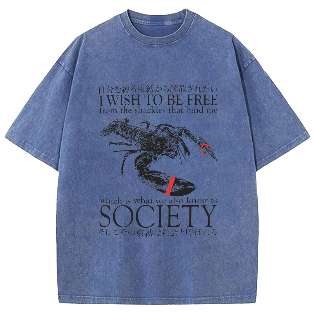 I Wish To Be Free Washed Crew Neck T-Shirt