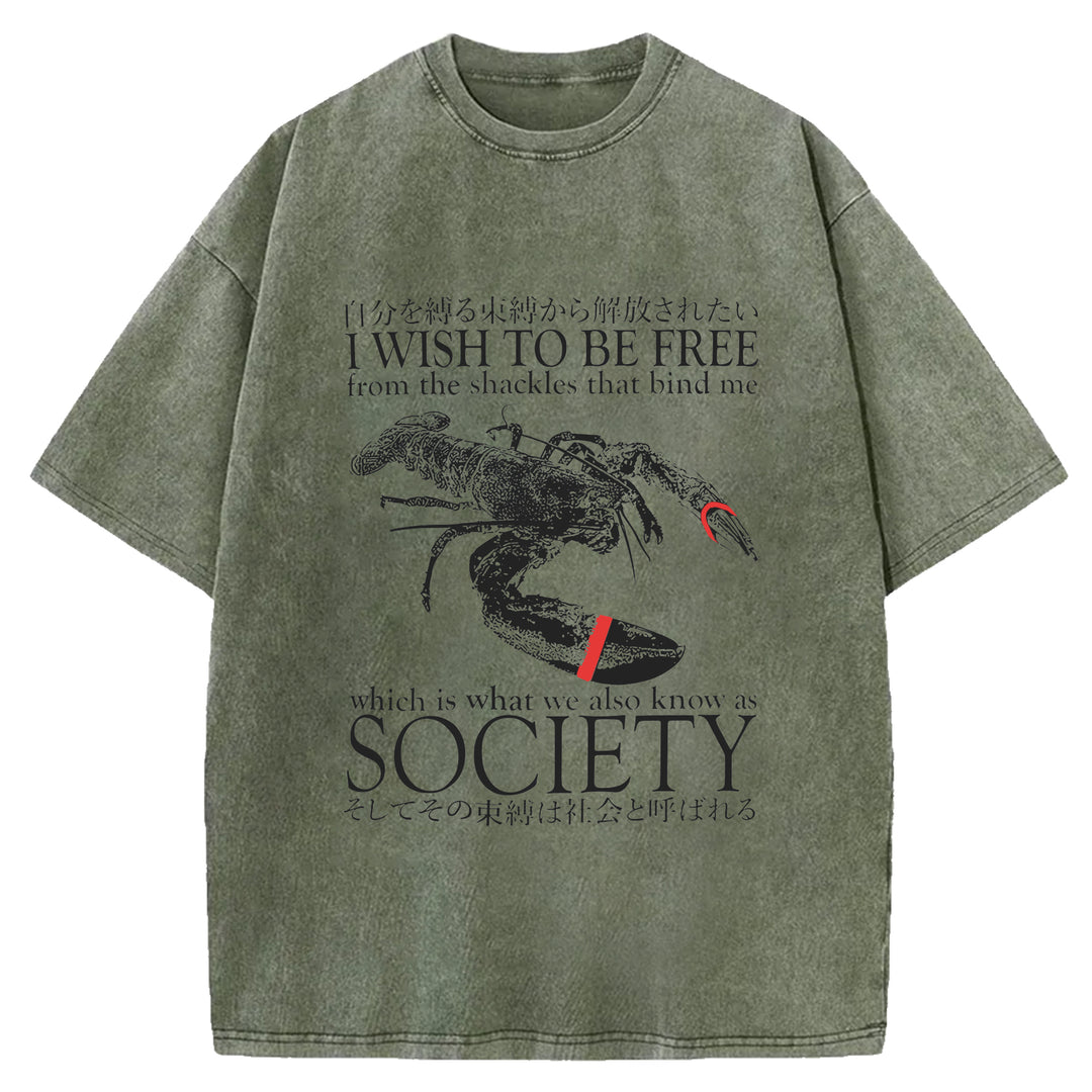 I Wish To Be Free Washed Crew Neck T-Shirt