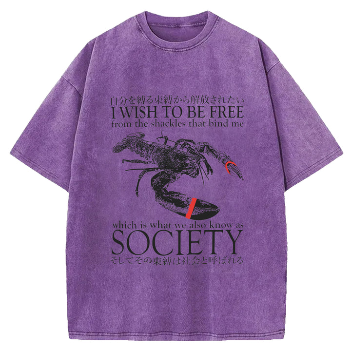 I Wish To Be Free Washed Crew Neck T-Shirt