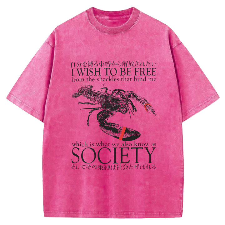 I Wish To Be Free Washed Crew Neck T-Shirt