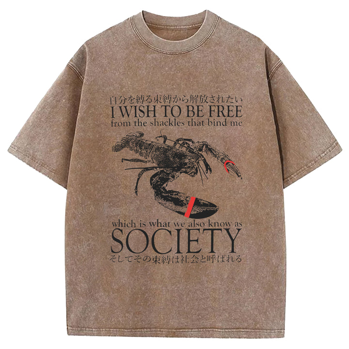 I Wish To Be Free Washed Crew Neck T-Shirt