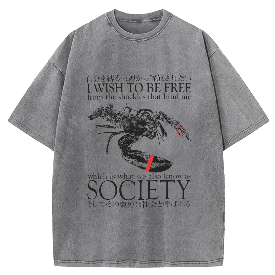 I Wish To Be Free Washed Crew Neck T-Shirt