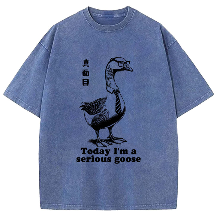 Today I'm a serious goose Washed Crew Neck T-Shirt