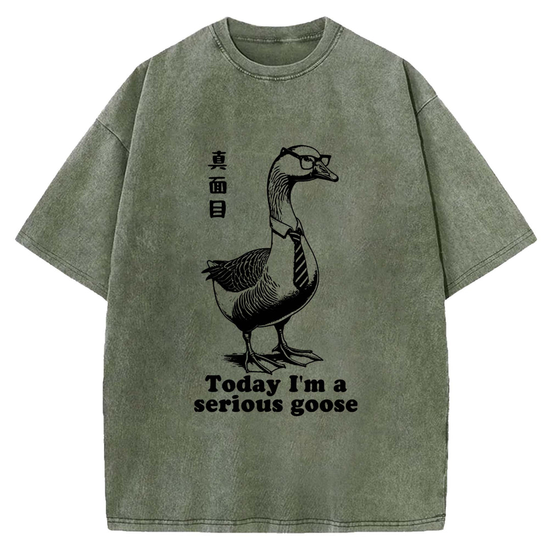 Today I'm a serious goose Washed Crew Neck T-Shirt