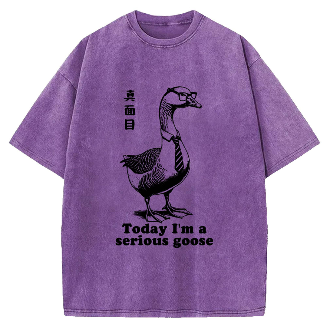Today I'm a serious goose Washed Crew Neck T-Shirt
