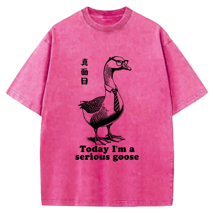 Today I'm a serious goose Washed Crew Neck T-Shirt