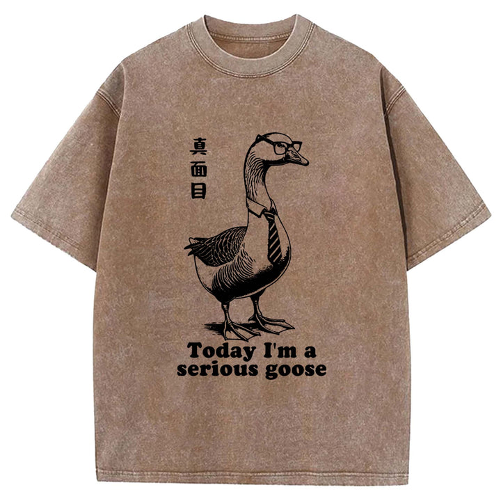 Today I'm a serious goose Washed Crew Neck T-Shirt