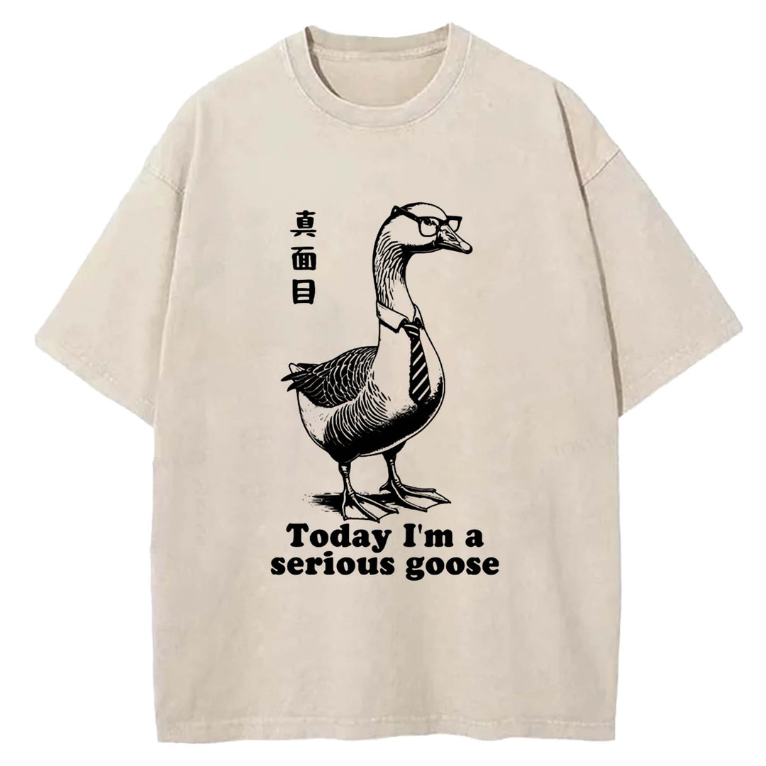 Today I'm a serious goose Washed Crew Neck T-Shirt