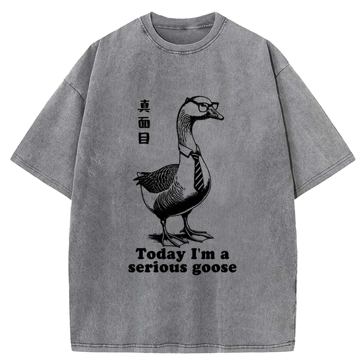 Today I'm a serious goose Washed Crew Neck T-Shirt