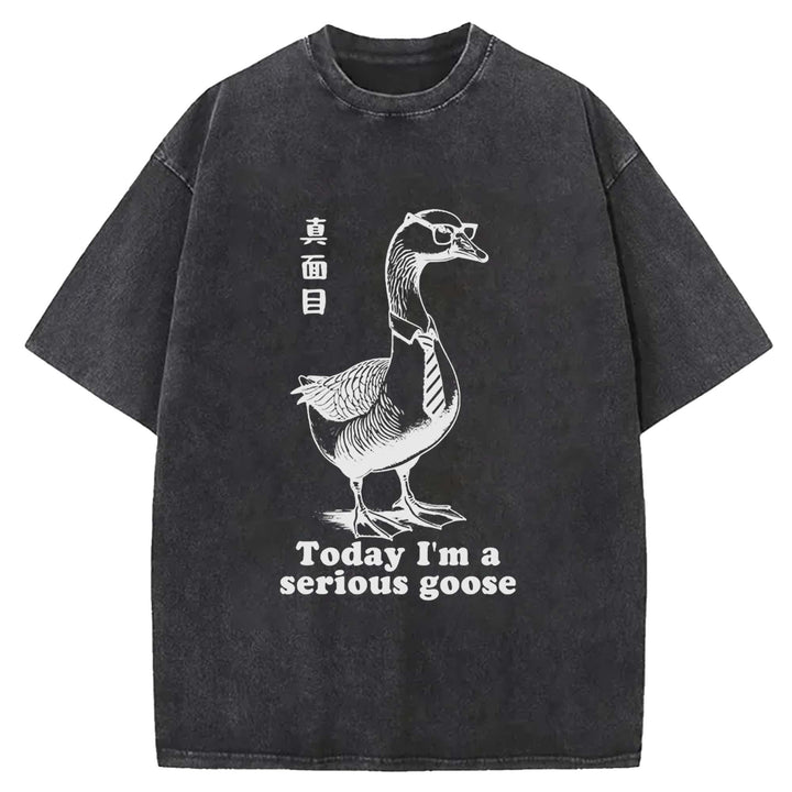 Today I'm a serious goose Washed Crew Neck T-Shirt