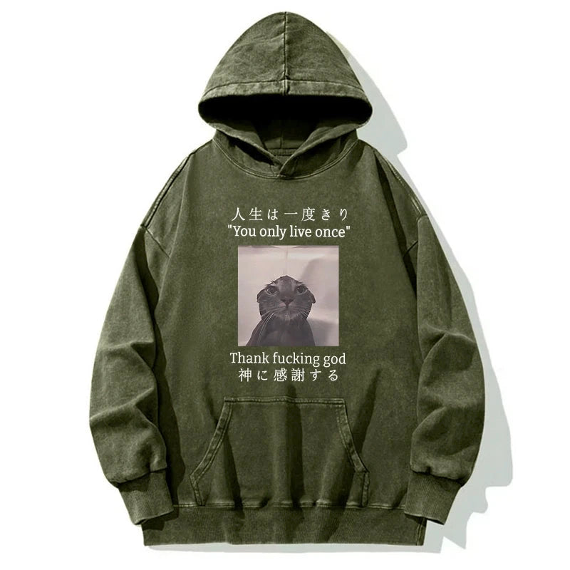 Funny Melancholy Cat Washed Hoodie