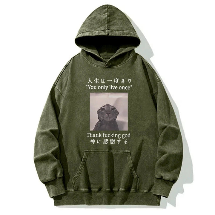 Funny Melancholy Cat Washed Hoodie