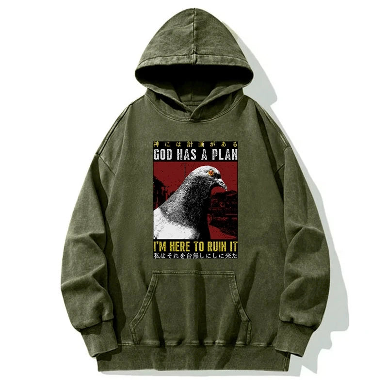 Pigeons That Want To Break The Plan Washed Hoodie