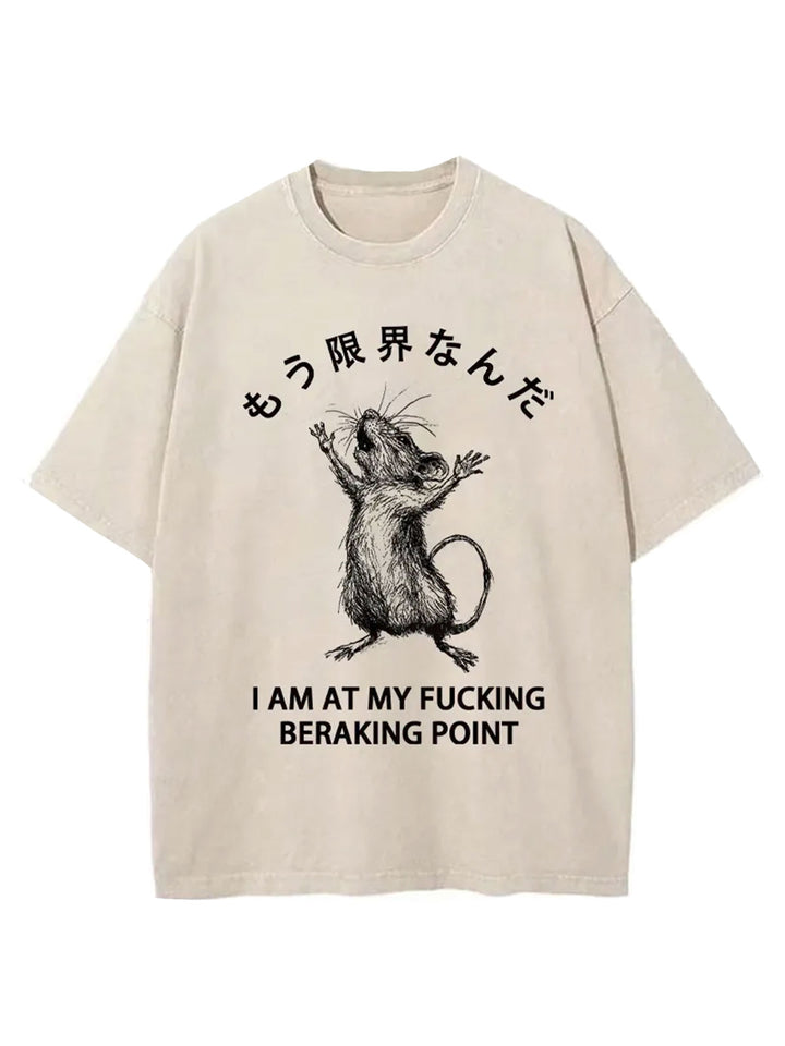 Funny Crash Mouse Washed Crew Neck T-shirt