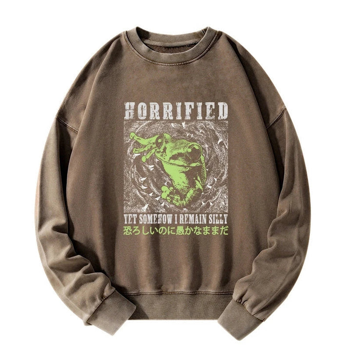Silly Frog Japanese Washed Sweatshirt