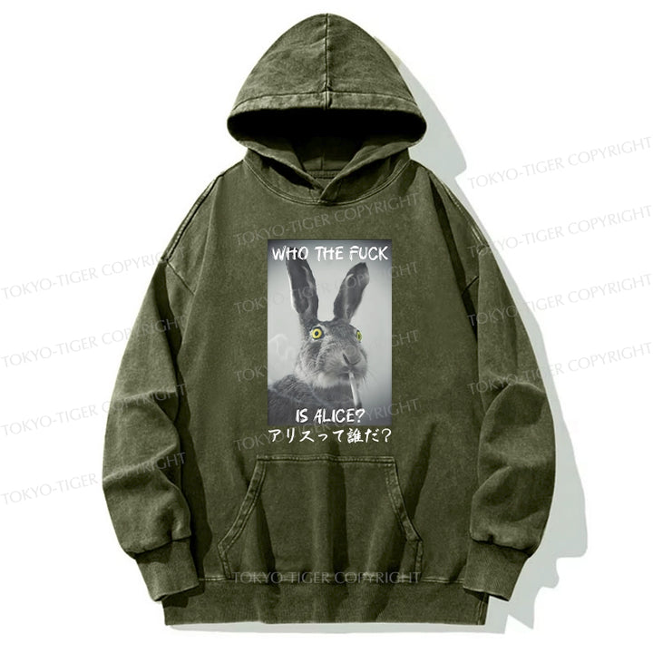 Who Is Alice? Washed Hoodie