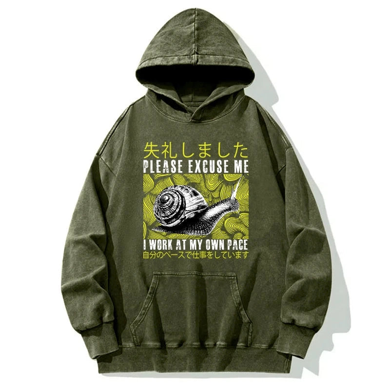 Snails That Work According To Their Own Rules Washed Hoodie