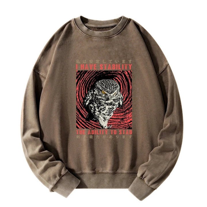 I Have Stability Owl Washed Sweatshirt