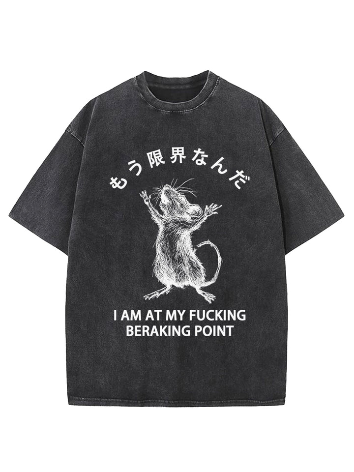 Funny Crash Mouse Washed Crew Neck T-shirt