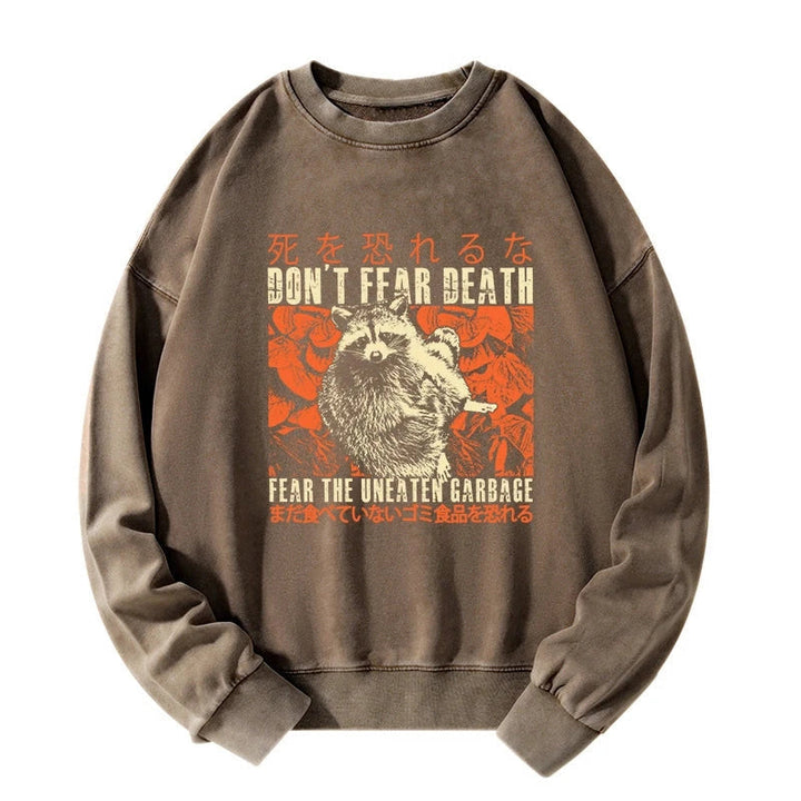 Timid Raccoon Japanese Washed Sweatshirt