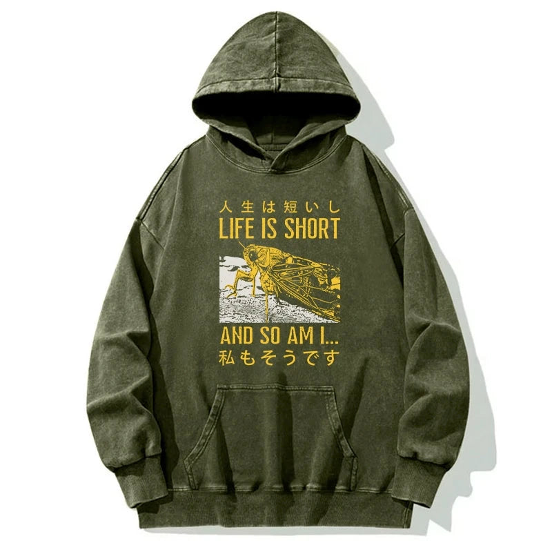 A Grasshopper With A Short Life Washed Hoodie