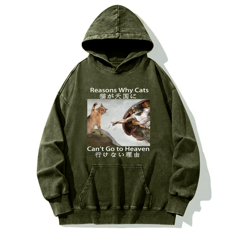 Naughty Cat Can't Go To Heaven Washed Hoodie