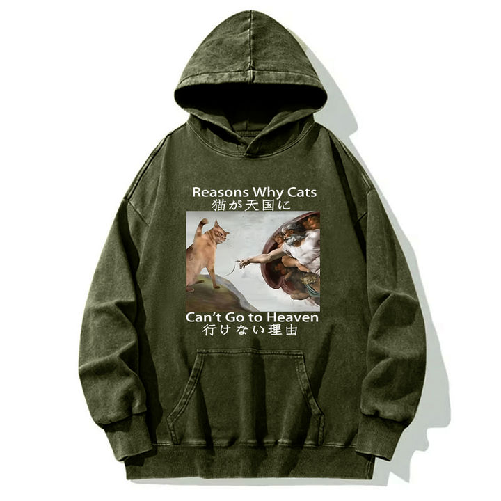 Naughty Cat Can't Go To Heaven Washed Hoodie