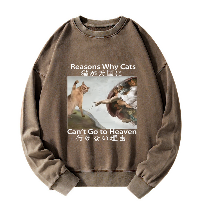 Naughty Cat Can't Go To Heaven Washed Sweatshirt