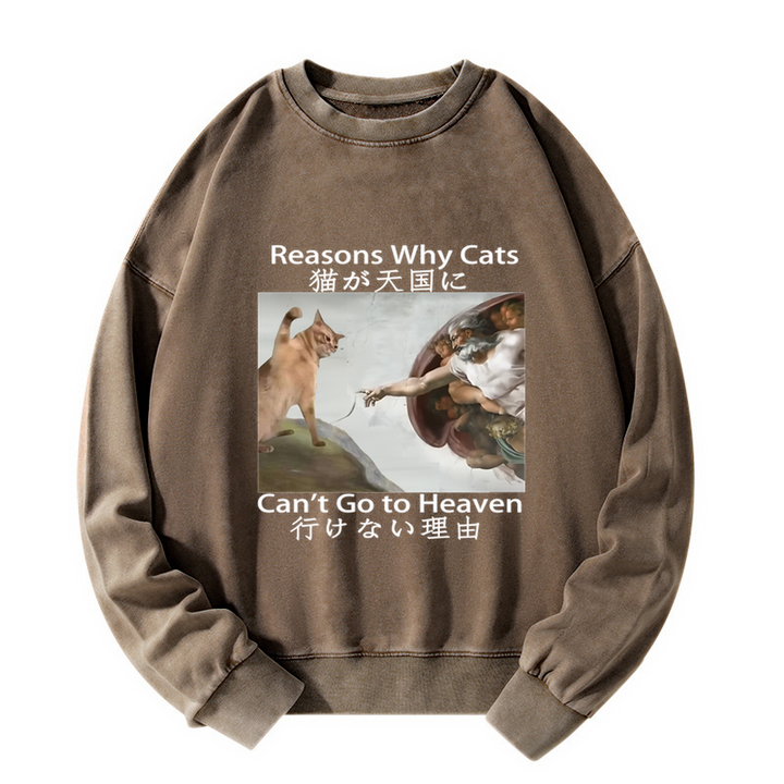 Naughty Cat Can't Go To Heaven Washed Sweatshirt