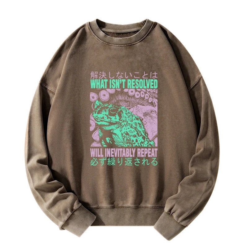 What Ist Resolved Forg Washed Sweatshirt