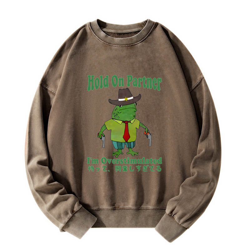 Wait I'm Too Excited Washed Sweatshirt