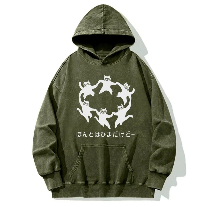 Leisure Cats Japanese Washed Hoodie