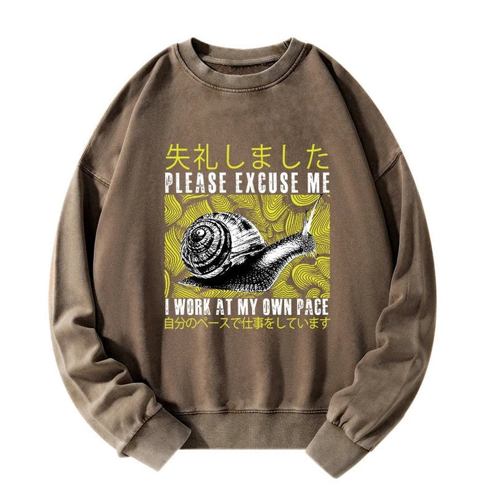 Snails That Work According To Their Own Rules Washed Sweatshirt
