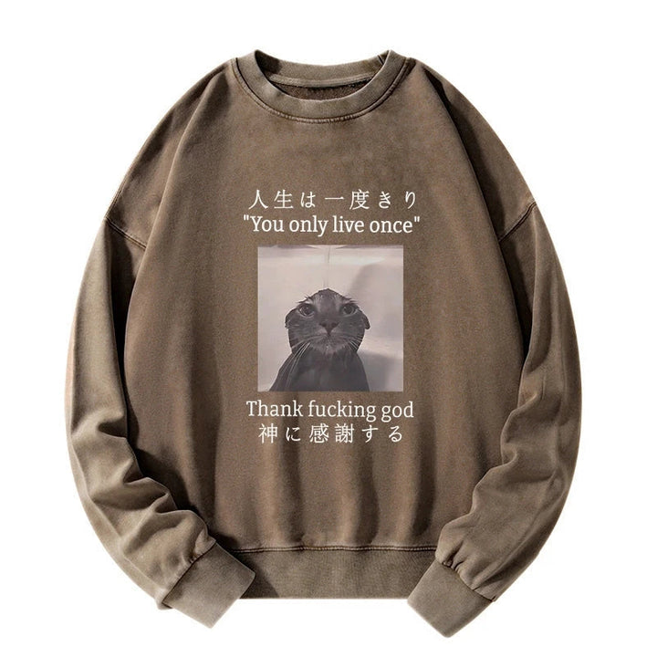Funny Melancholy Cat Washed Sweatshirt