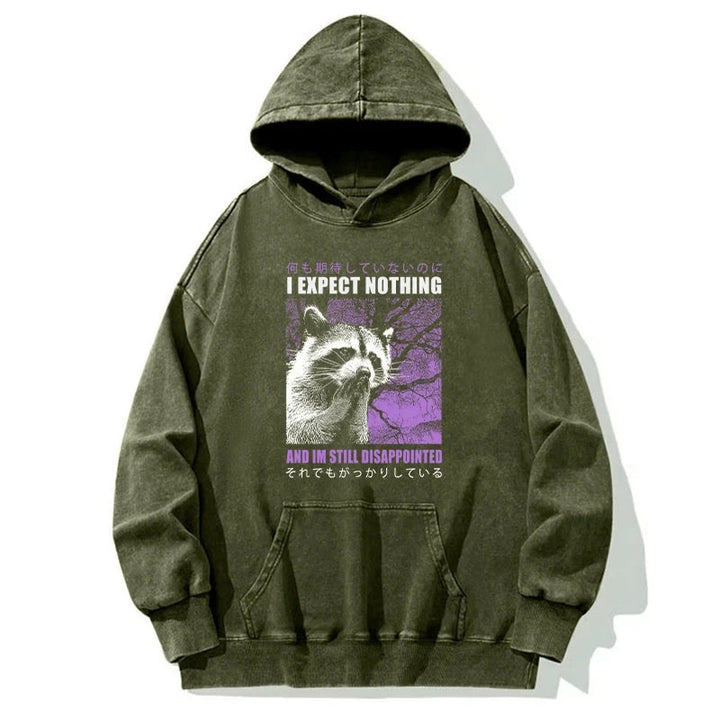 Disappointed Raccoon Japanese Washed Hoodie