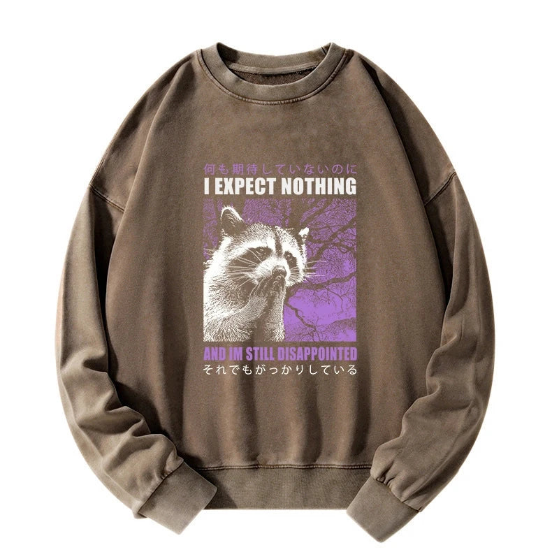Disappointed Raccoon Japanese Washed Sweatshirt