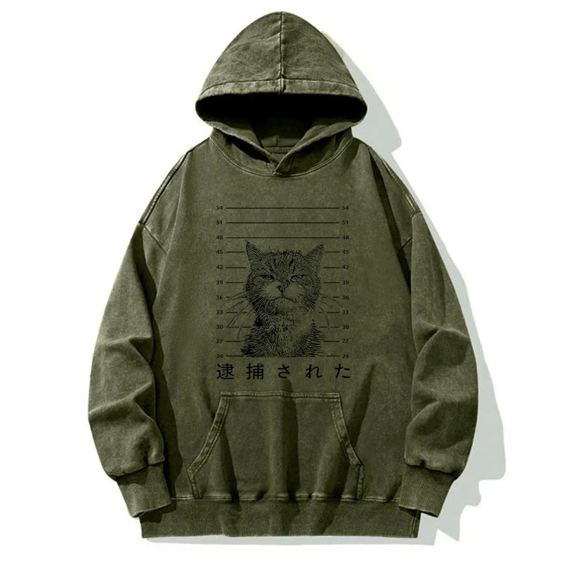Cat That Was Arrested Washed Hoodie