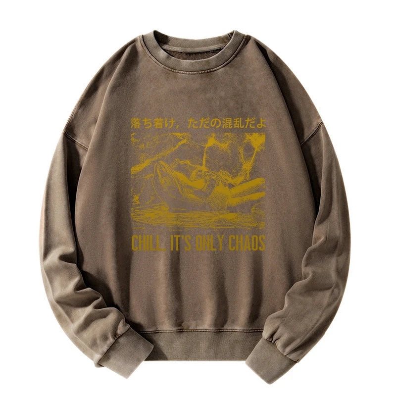 Cool Frog Japanese Washed Sweatshirt