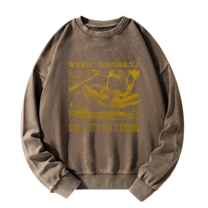 Cool Frog Japanese Washed Sweatshirt